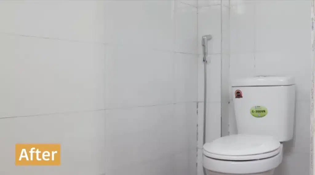 Toilet
